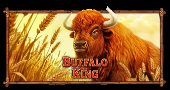 Buffalo King slot by Pragmatic Play